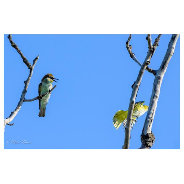 PHOTO84, CLUB, 84 , LUBERON